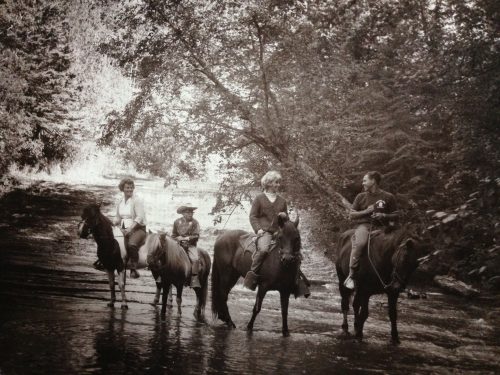 Swenson forest preserve